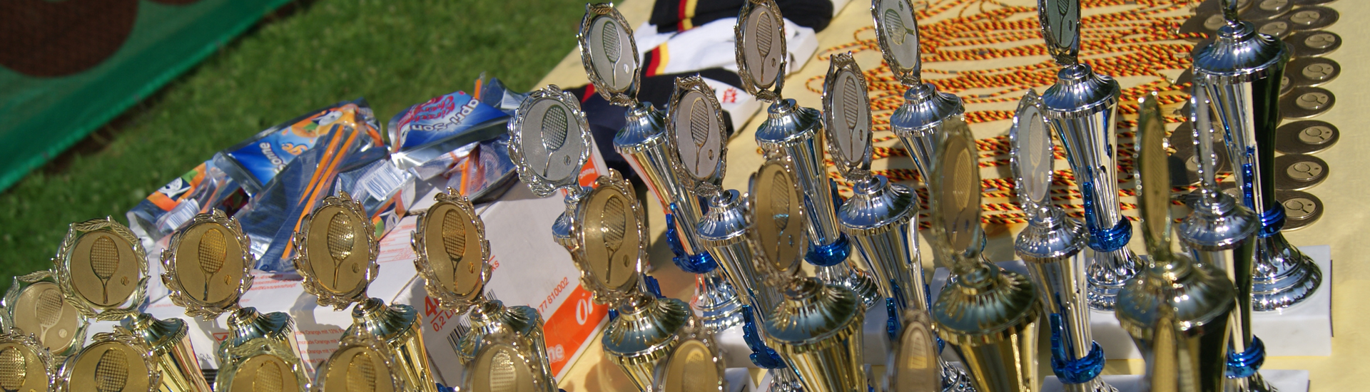 Masterpro Nivo Slider 3.x